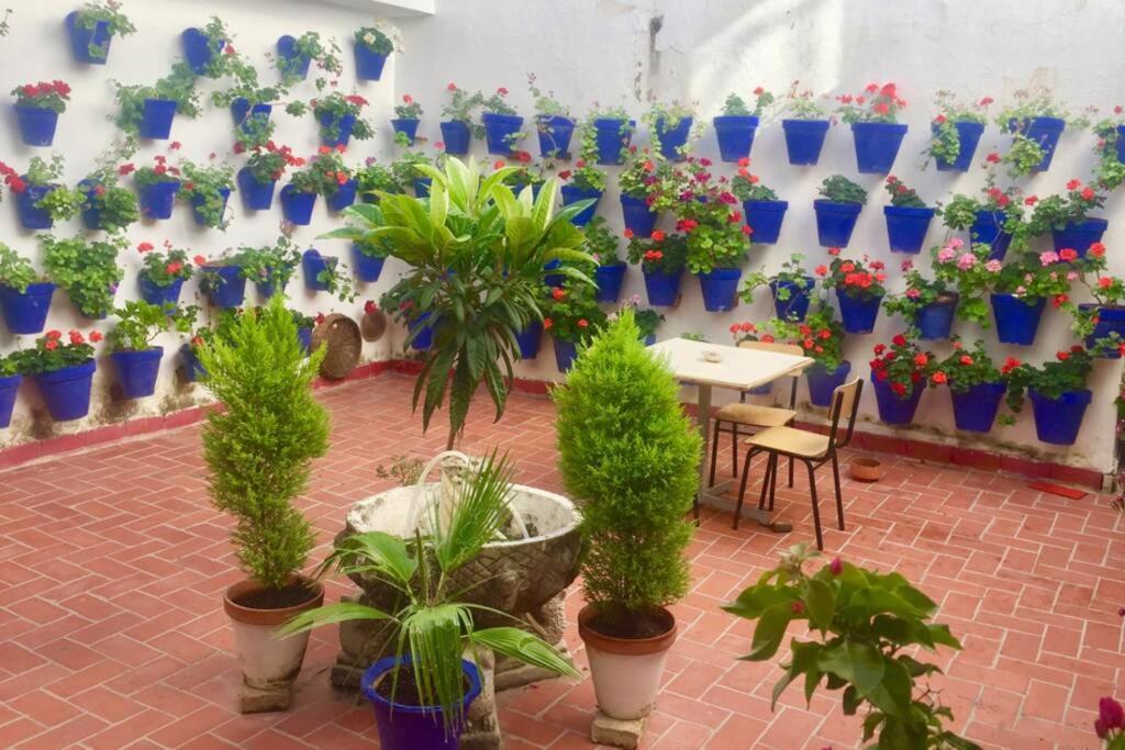 Apartamento Toril-Casco Historico กอร์โดบา ภายนอก รูปภาพ